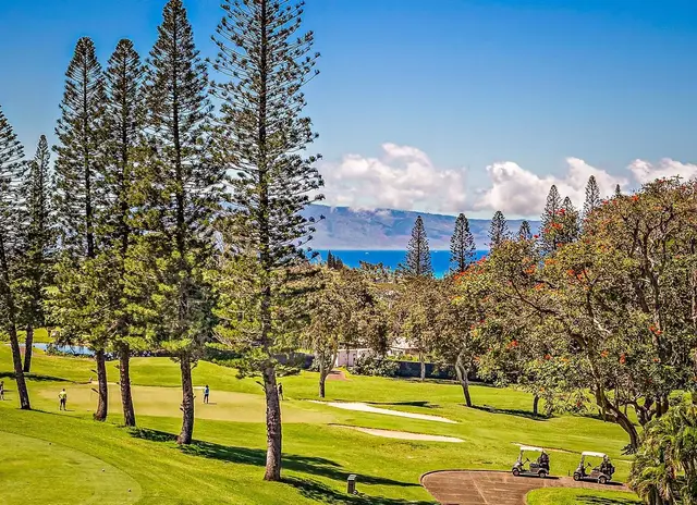 Listing Image for 500 Kapalua Dr 20-t8 16 of 48