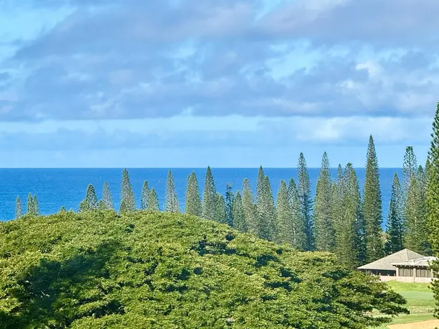 Listing Image for 500 Kapalua Dr 20-t8 2 of 48