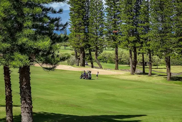 Listing Image for 500 Kapalua Dr 20-t8 48 of 48