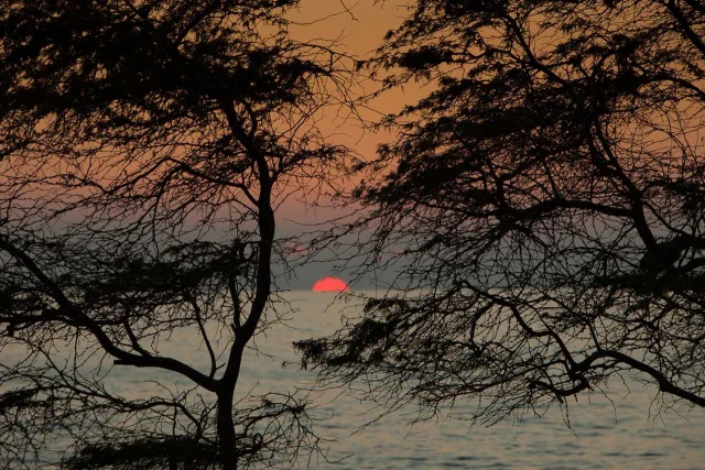 Listing Image for 2531 S Kihei Rd C211 36 of 39