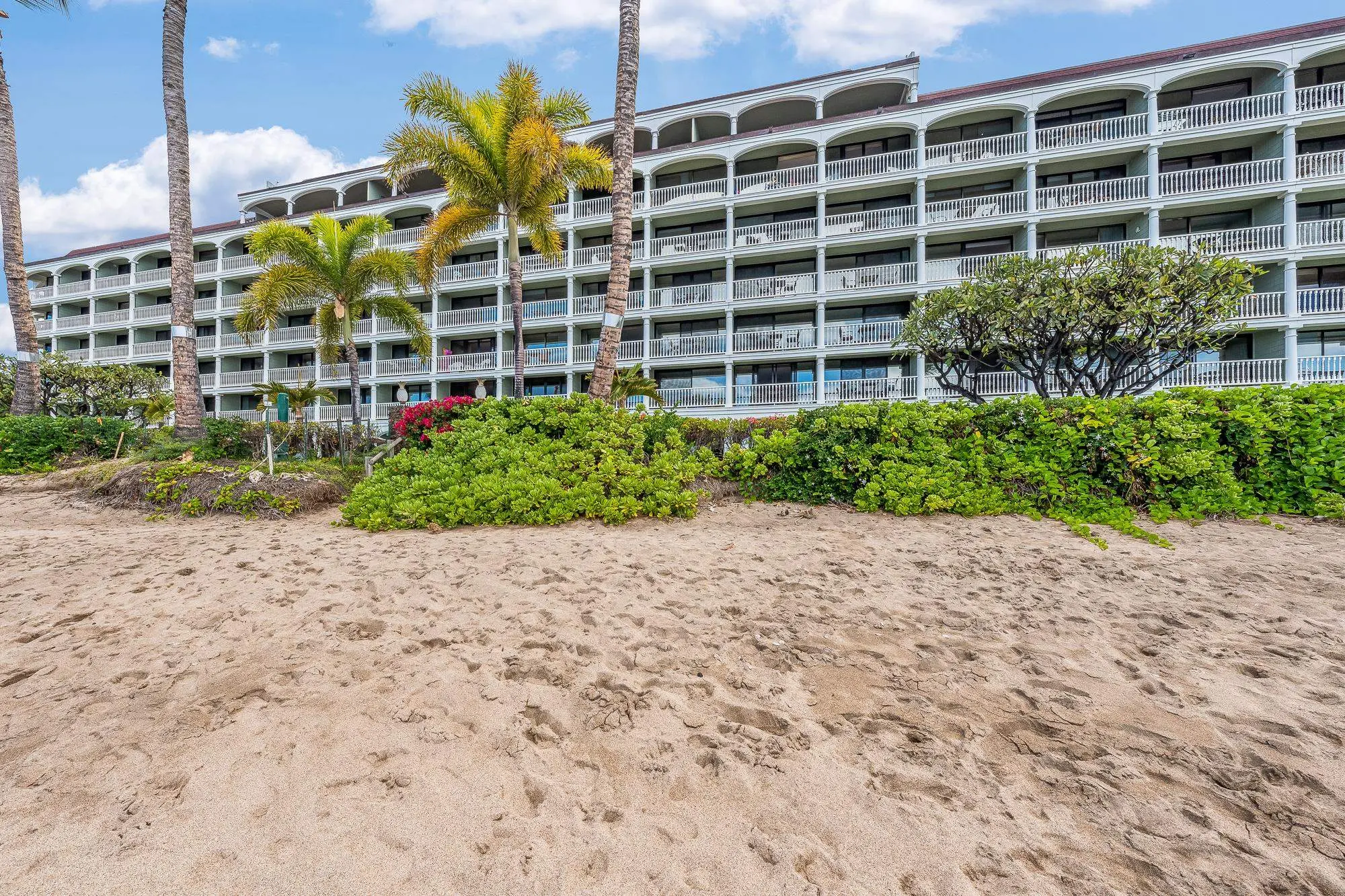 Photo of Listing #409366