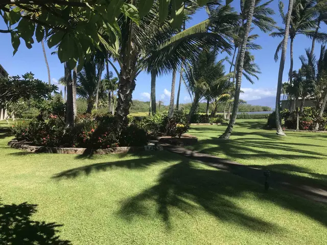 Listing Image for 7146 Kamehameha V Hwy B310 29 of 34