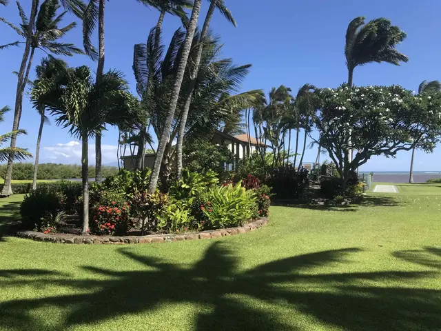 Listing Image for 7146 Kamehameha V Hwy B310 30 of 34