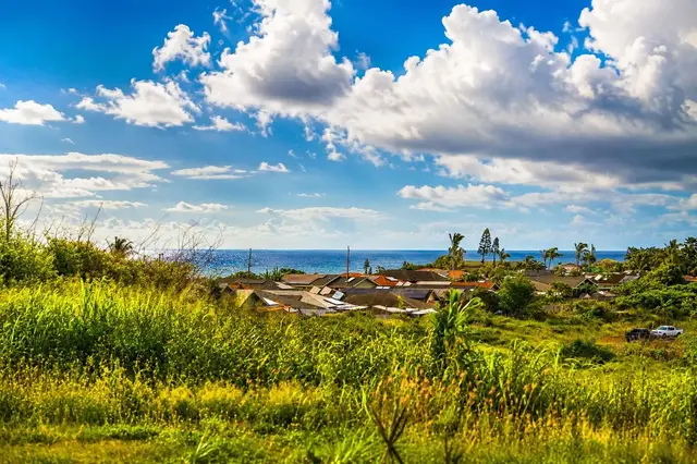 Listing Image for 1270 Piihana Rd 11 of 16