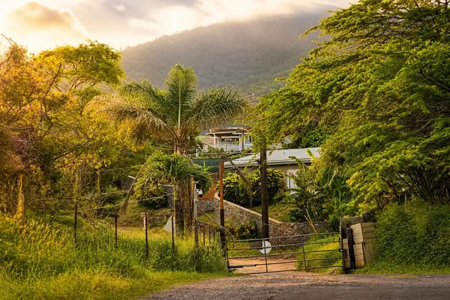 Listing Image for 1270 Piihana Rd 4 of 16