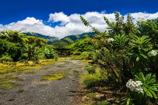 Listing Image for 1270 Piihana Rd 8 of 16