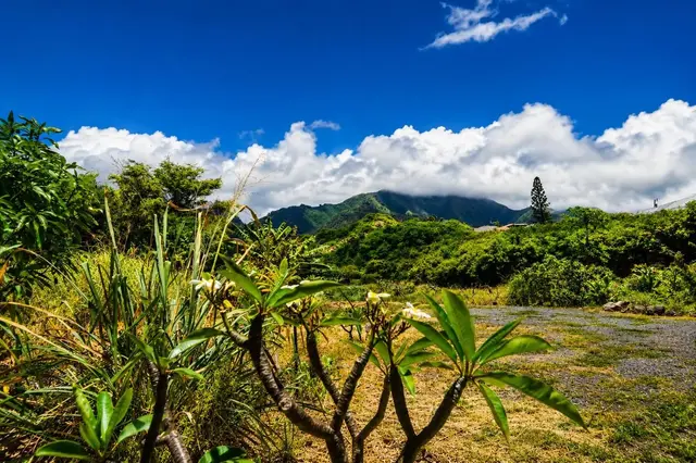 Listing Image for 1270 Piihana Rd 9 of 16