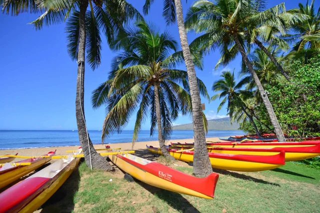 Listing Image for 140 Uwapo Rd 25-202 41 of 50