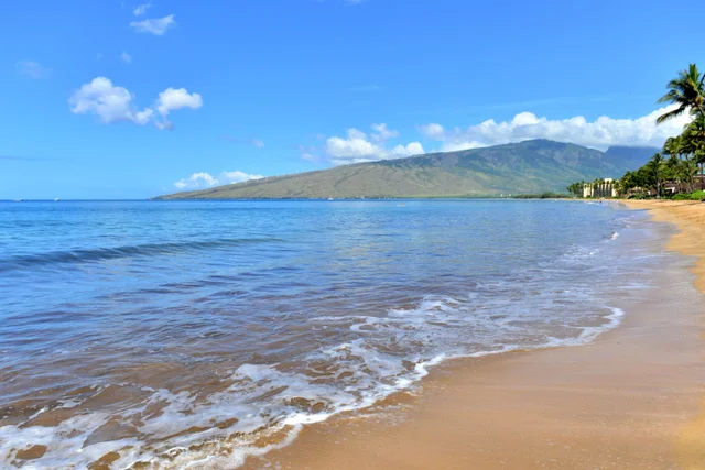 Listing Image for 140 Uwapo Rd 25-202 42 of 50