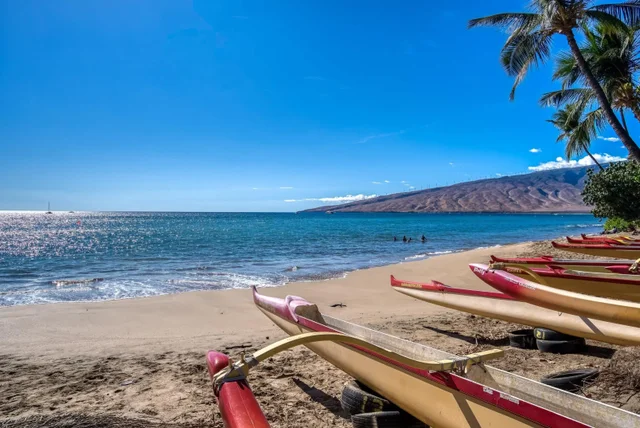 Listing Image for 140 Uwapo Rd 25-202 49 of 50