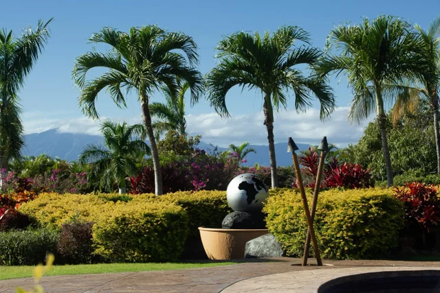 Listing Image for 67 Wili Okai Way 40 of 47