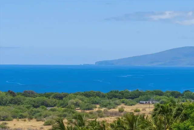 Listing Image for 295 Luawai St 12a 17 of 43