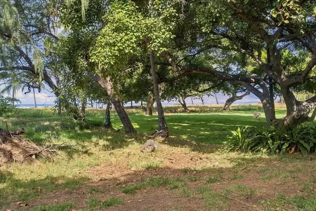 Listing Image for 1210 Uluniu Rd Unit 2 18 of 29
