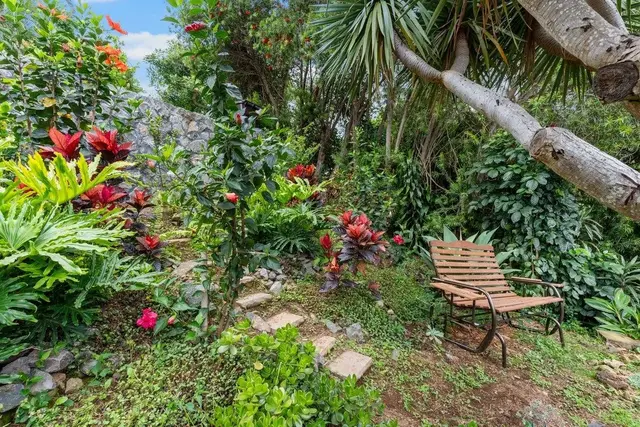 Listing Image for 621 Loulu Way 5 of 50