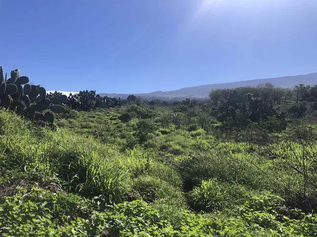 Listing Image for 0 Kula Hwy 14 of 24