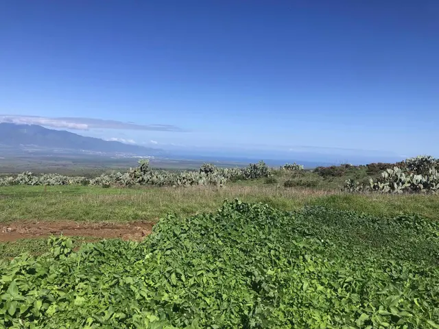 Listing Image for 0 Kula Hwy 4 of 24