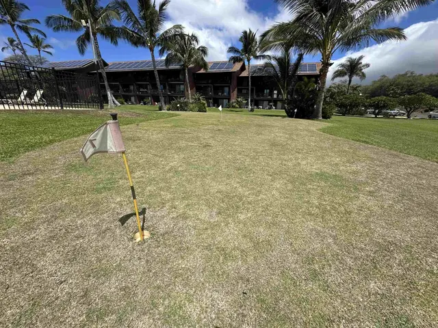 Listing Image for 1000 Kamehameha V Hwy 317b 29 of 36
