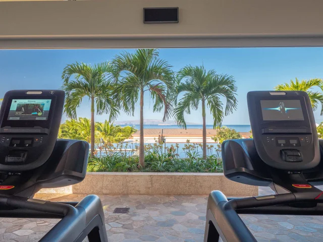 Listing Image for 244 Holomoana Way 17b 45 of 48