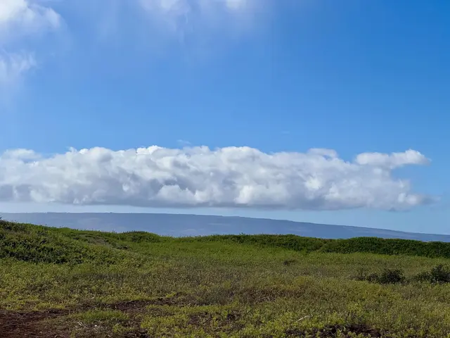 Listing Image for 0 Kamehameha V Hwy 22 11 of 33