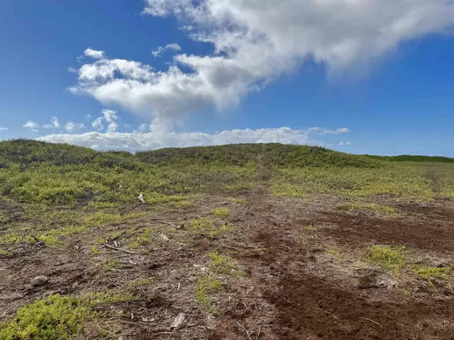 Listing Image for 0 Kamehameha V Hwy 22 13 of 33