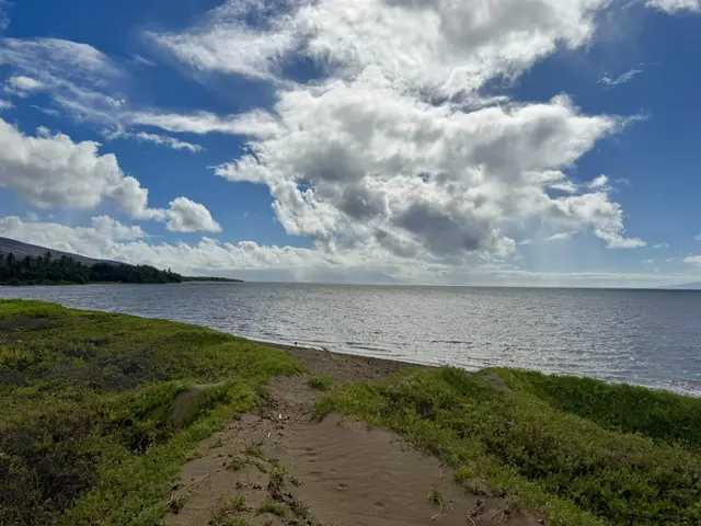 Listing Image for 0 Kamehameha V Hwy 22 14 of 33