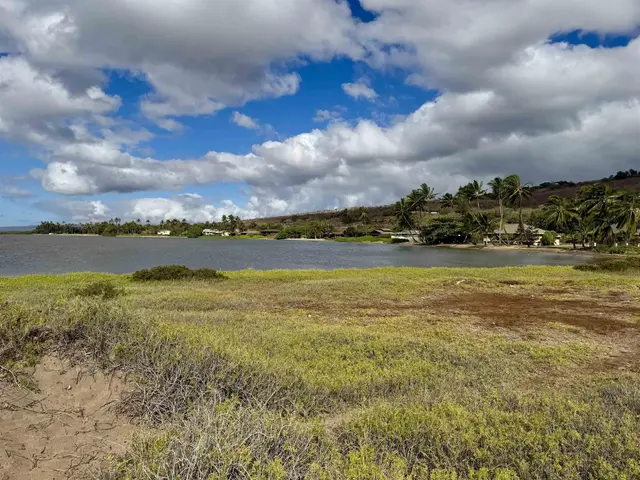 Listing Image for 0 Kamehameha V Hwy 22 20 of 33