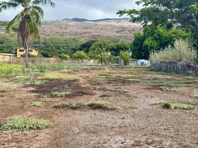 Listing Image for 0 Kamehameha V Hwy 22 21 of 33