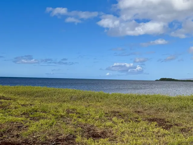 Listing Image for 0 Kamehameha V Hwy 22 9 of 33