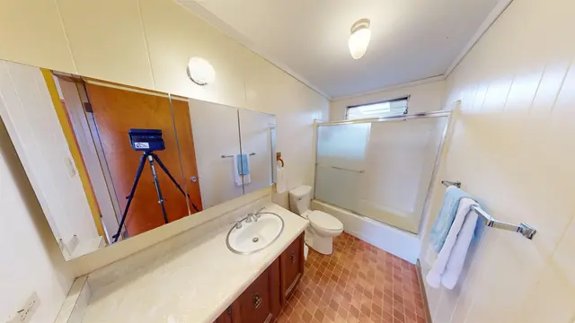 Listing Image for 802 Polu Pl 36 of 50