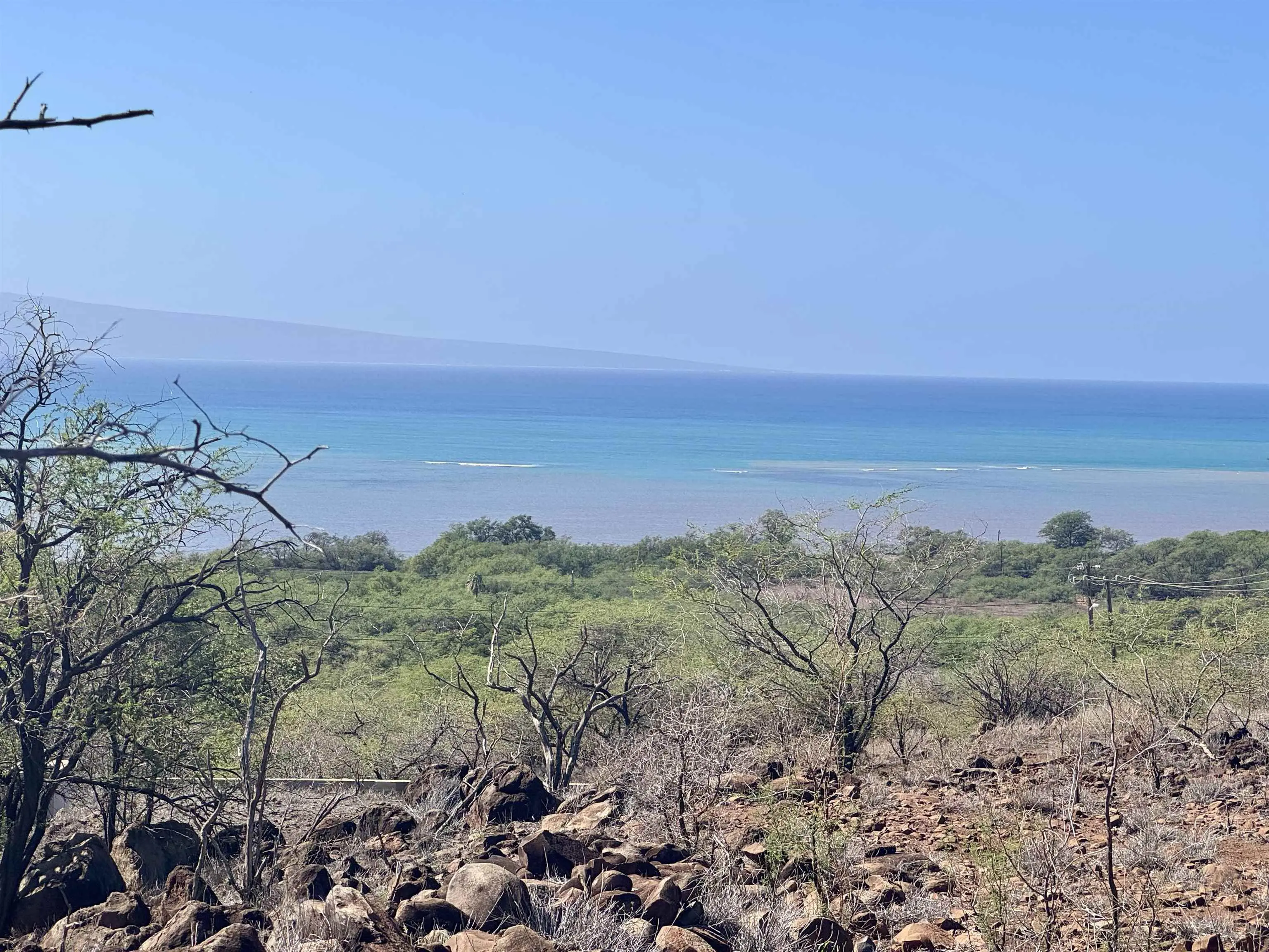 Photo of Listing #408646