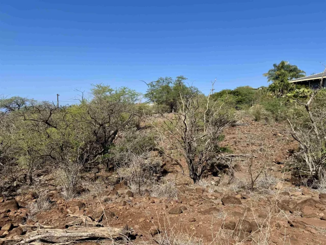 Listing Image for 0 Waiokama Pl 11 of 25