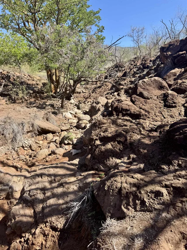 Listing Image for 0 Waiokama Pl 13 of 25