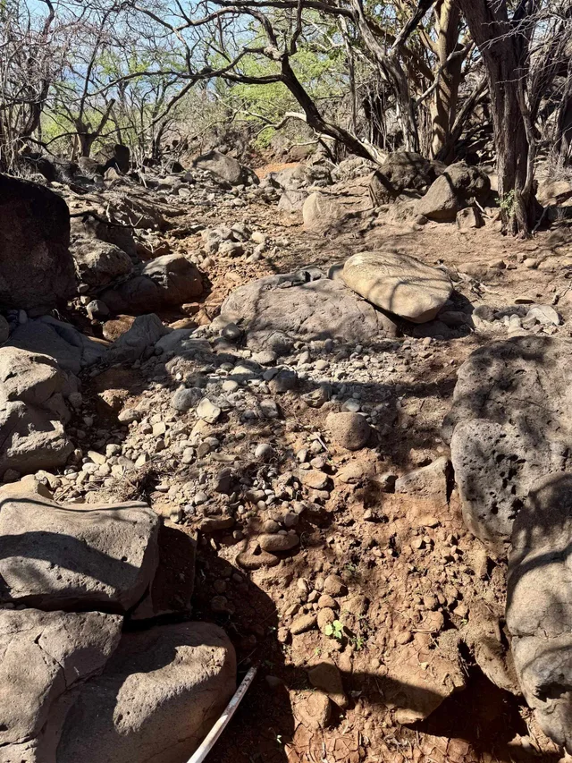 Listing Image for 0 Waiokama Pl 14 of 25