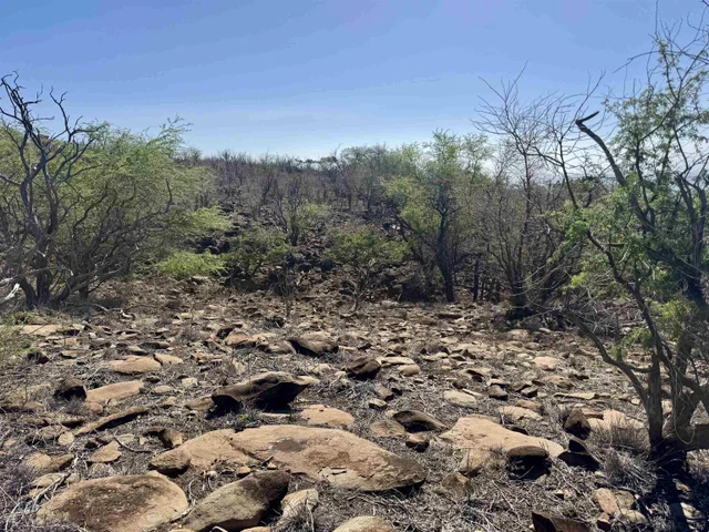 Listing Image for 0 Waiokama Pl 4 of 25