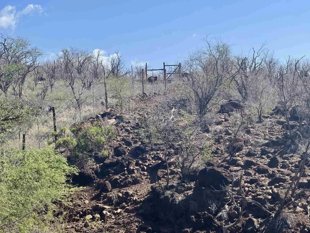 Listing Image for 0 Waiokama Pl 6 of 25