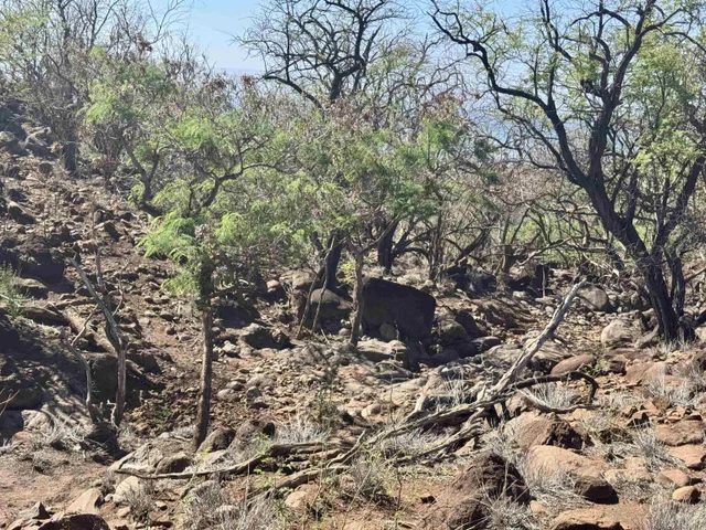 Listing Image for 0 Waiokama Pl 7 of 25