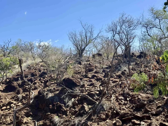 Listing Image for 0 Waiokama Pl 8 of 25