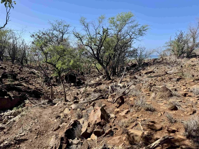 Listing Image for 0 Waiokama Pl 9 of 25