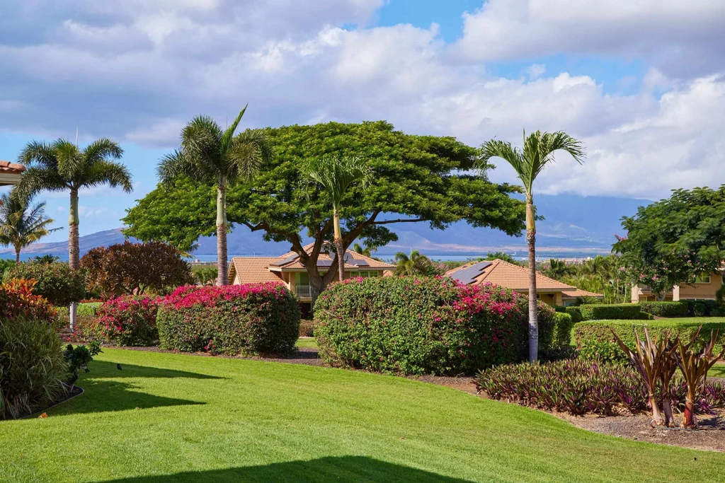 1294 Hihimanu St 138, Kihei