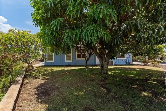 Listing Image for 237 Kuli Puu St 42 of 44