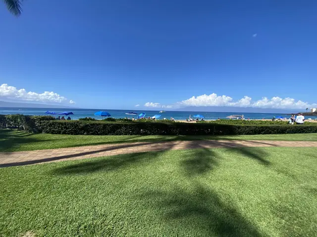 Whaler 157 W - 2481 Kaanapali Pkwy 157 W, Kaanapali, 399446 - 2/32