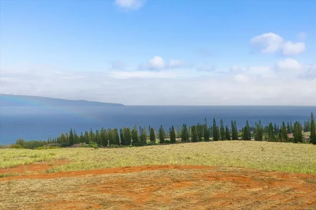 Listing Image for 265 Uki Uki Loop 12 of 31