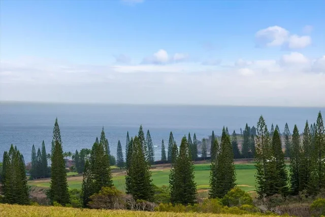 Listing Image for 265 Uki Uki Loop 15 of 31