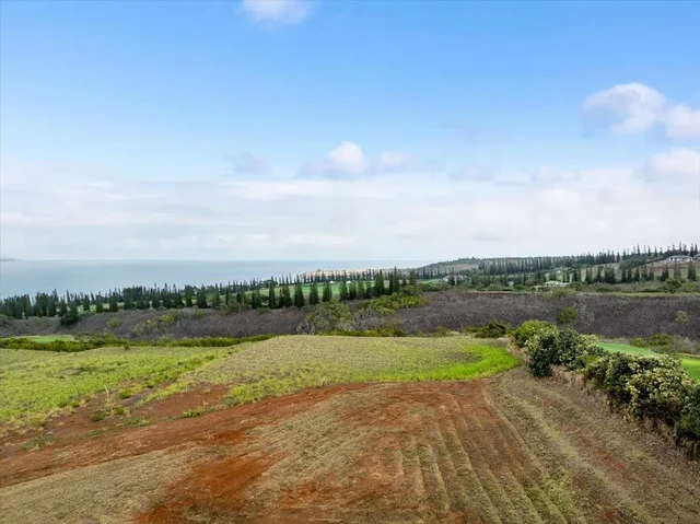 Listing Image for 265 Uki Uki Loop 24 of 31