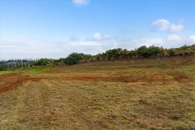 Listing Image for 265 Uki Uki Loop 25 of 31