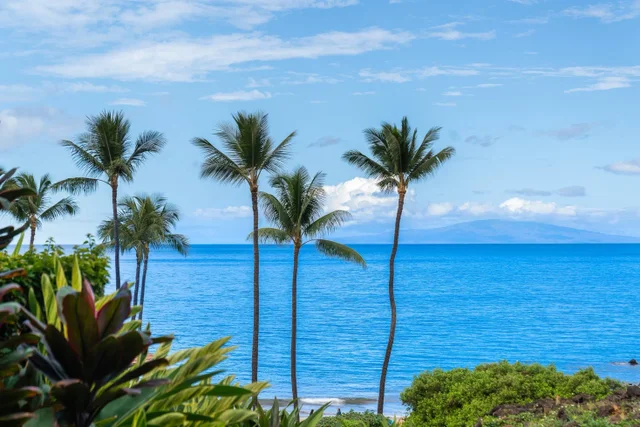 Listing Image for 4850 Makena Alanui Rd C106 11 of 49