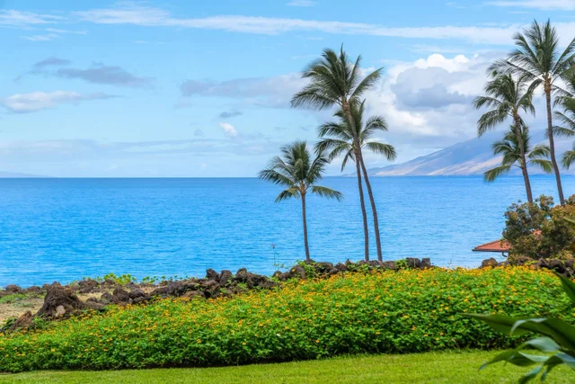 Listing Image for 4850 Makena Alanui Rd C106 2 of 49