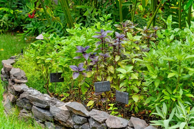 Listing Image for 4850 Makena Alanui Rd C106 43 of 49