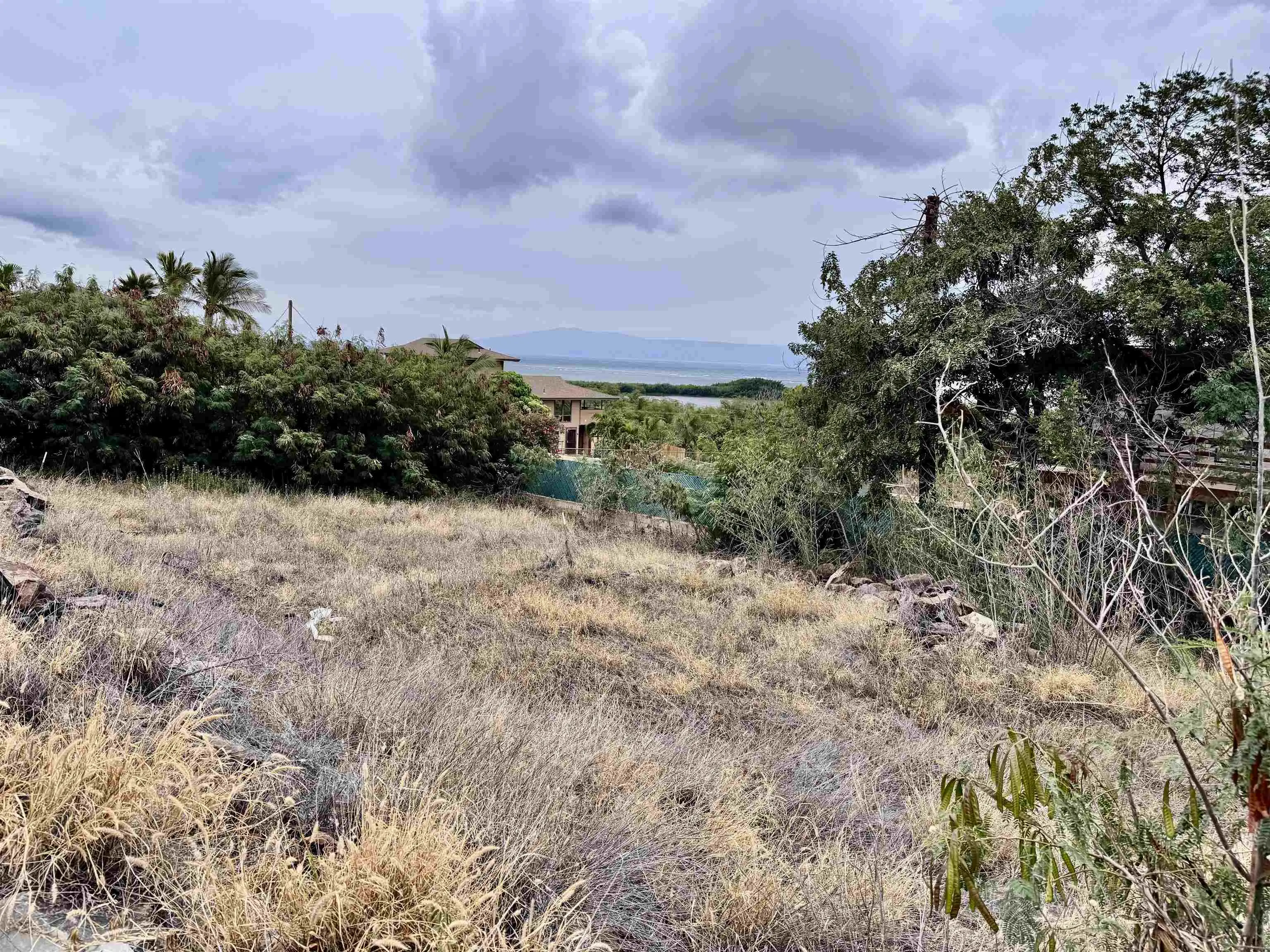 Photo of Listing #409037