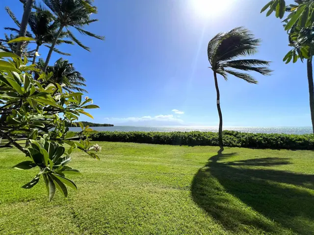 Listing Image for 7146 Kamehameha V Hwy 107a 14 of 24
